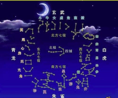 12星座谁是鬼